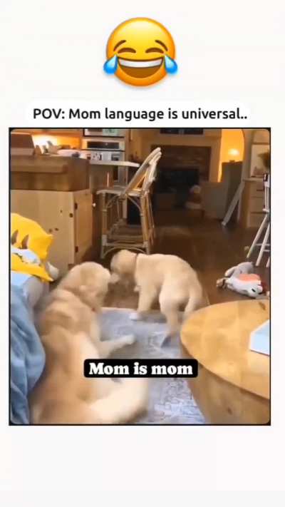 Mom's superior