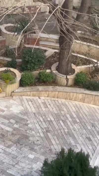 One day I and Shreya having saxx suxx and Zaid bhai looking at us like that CHODU ADHAMKHOR BILLA🫡