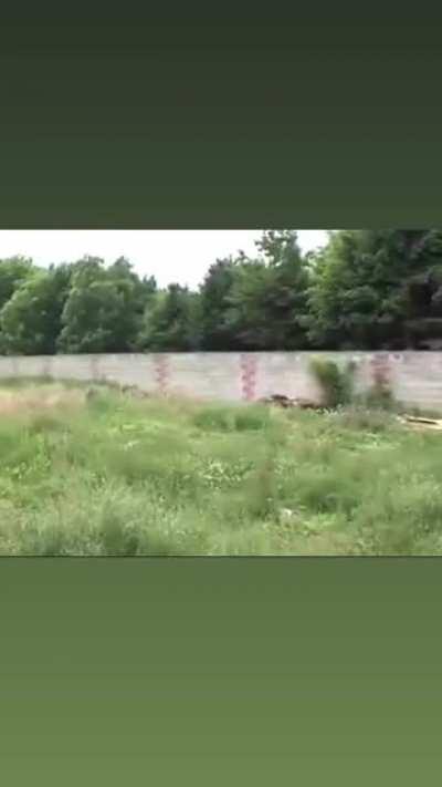 Najbolj pameten Rom v Sloveniji