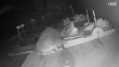 WCGW With free food.