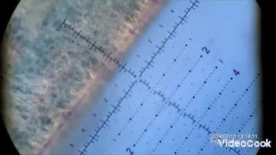 Ukrainian snipers of the 3rd OZSP 