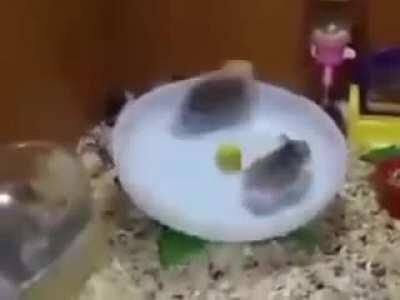 Слили новую Need For Speed