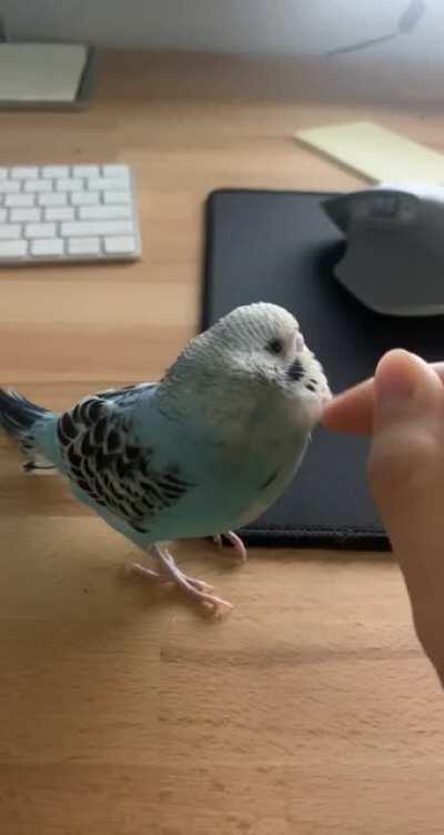 he tolerates so much