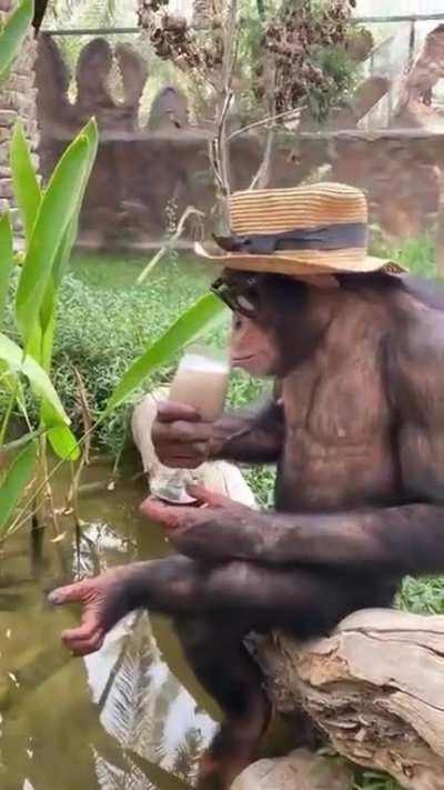 r/absolutelynotmeirl