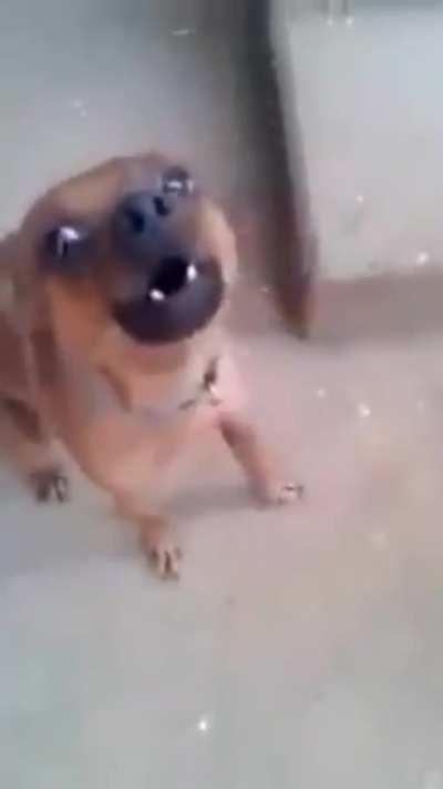 Você é framenguista😡