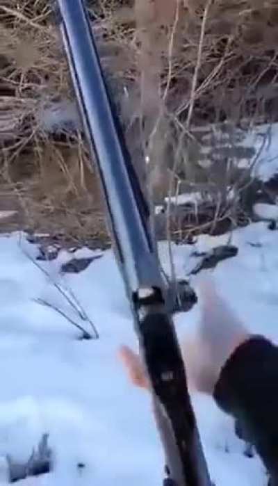 Nerveaaaanaaaaaaaa rule