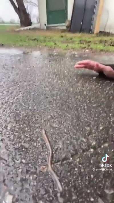 Didn’t see that coming