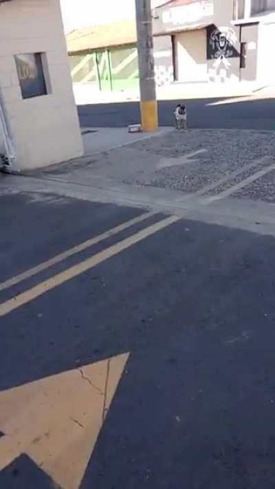 Cachorro de uniforme