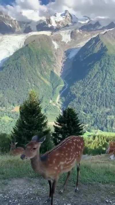🔥 The French Alps