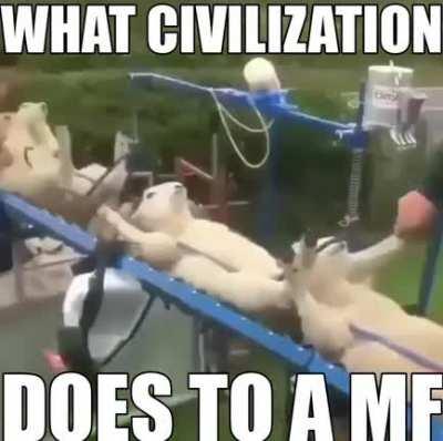 FUCK CIVILIZATION ALL MY HOMIES HATE CIVILIZATION