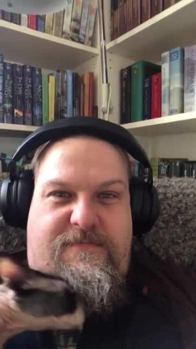 Get a cat they said...