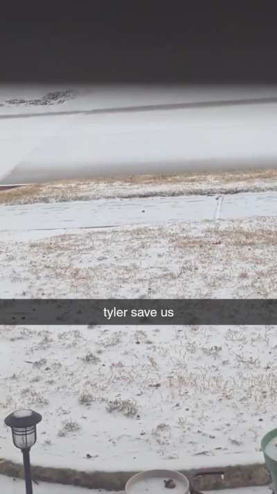 tyler needs to save us hes the only one who can save us from the snow