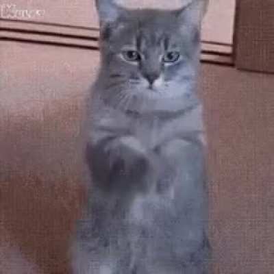 FOR PEOPLE WHO GETTING 160≈+/180 In Thier Physics Section ( NEET MOCK Jo De Rahe Hai  & ALSO NEET CRACK Kiye Hue Log )