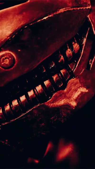 The Stranger Up Close