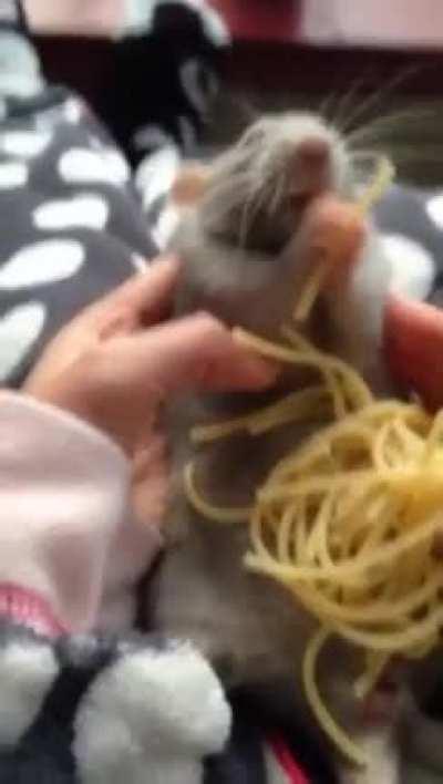 Lulu/Yummi Mains Making Sure Twitch Mains Are Getting Fed Right 😤🥵