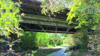 forgotten dream sequence