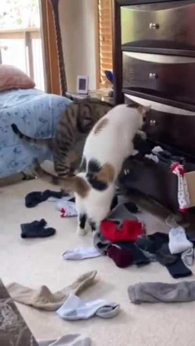 Шерстяные...