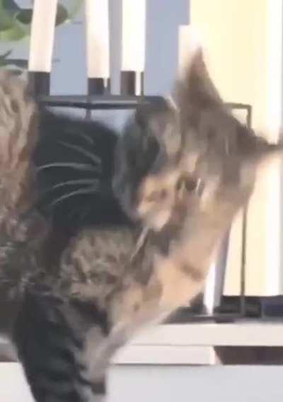 What did you just say?