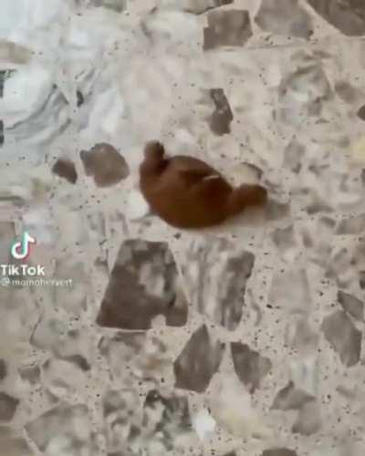 And Then, There's Chunky!