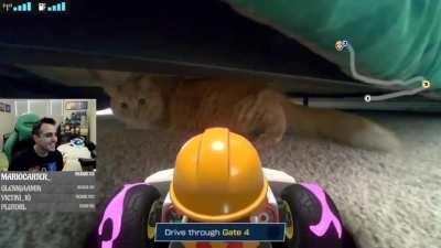 Playing Mario Kart Live is so much better with pets
