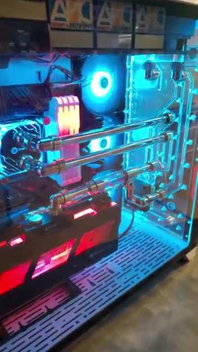 I think this one is alive.