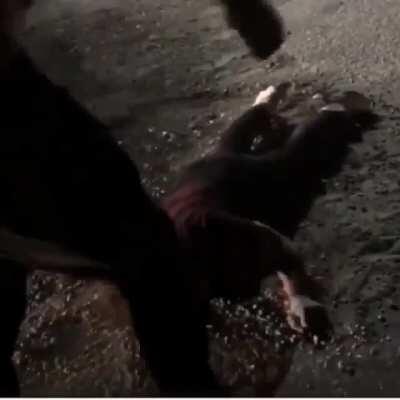 Kid gets sent to Oblivion. Don’t remember context but IIRC the kid harassed/assaulted the other guy’s daughter.