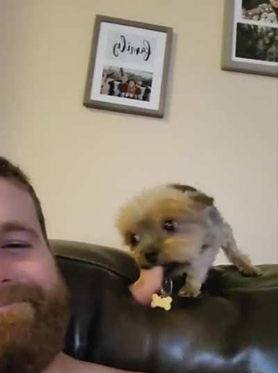 Come closer, I just wanna lick ya