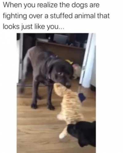 Watch her die inside