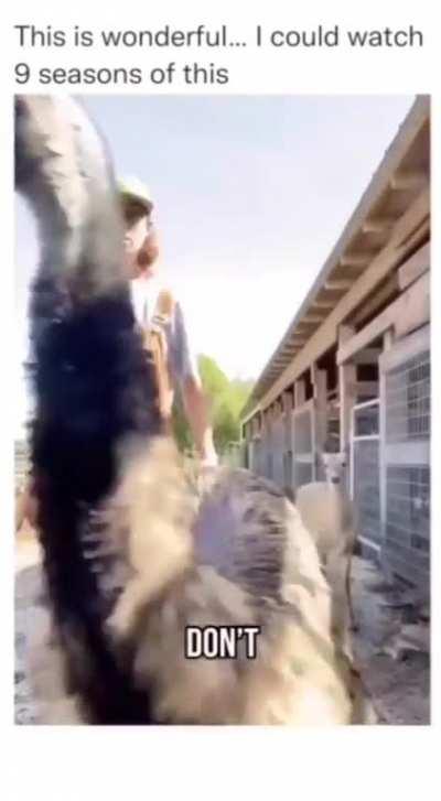 I think Emmanuel is gonna do whatever he wants to do !! Lololololo