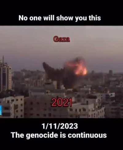 The genocide continues