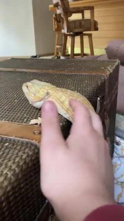 He kept jumping on there :/