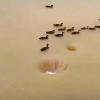 Time to enter the hole