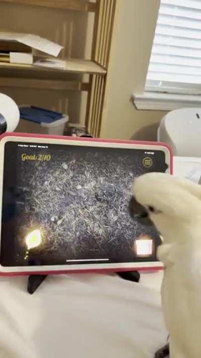 Lenny loves his video games