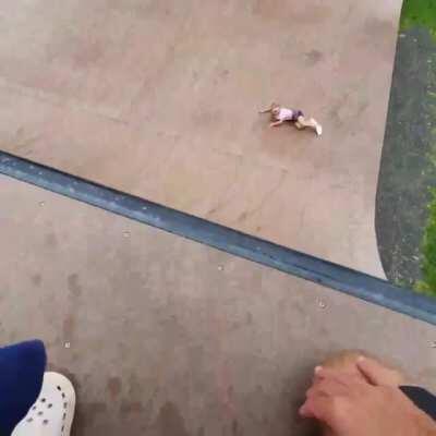 Brother, help me!.... LONG LIVE THE KING!