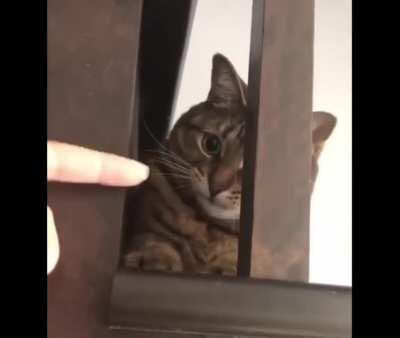 Wait, I think I'm stuck