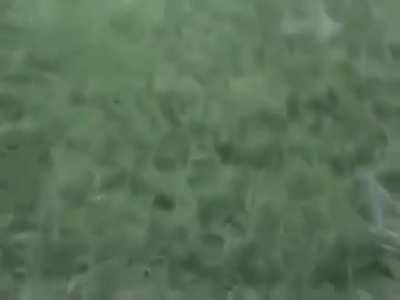 This will get the fire started really quickly...