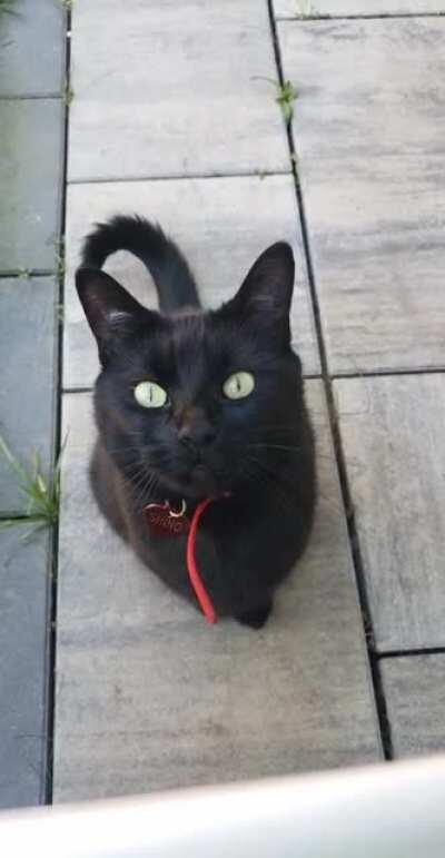 Her most polite yell