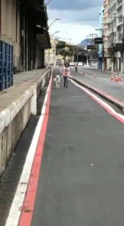 WCGW running with a 40kg dog