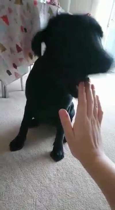 To give a high five