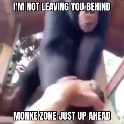 Wanna go to the monke zone???