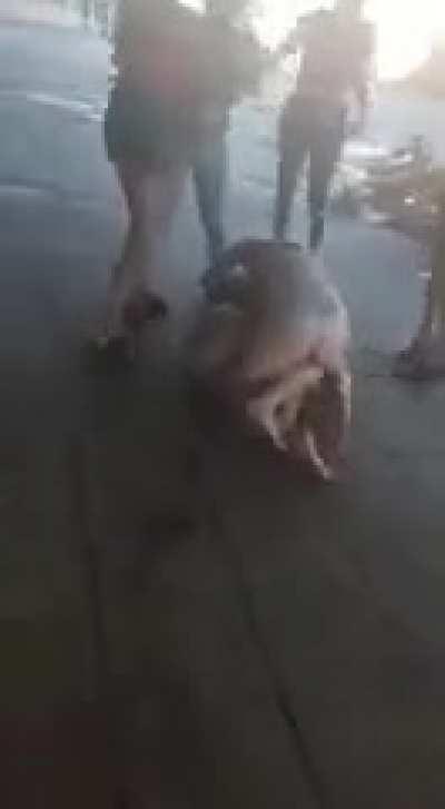 Woman fighting outside of nightclub in Argentina