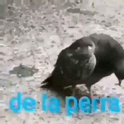 Aca esperando que mati prenda directo🤏🕶😔