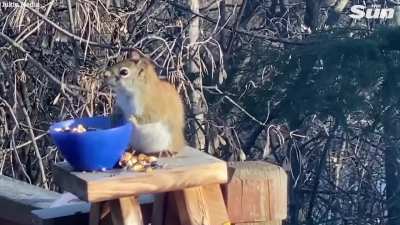 Took too much fermented pears