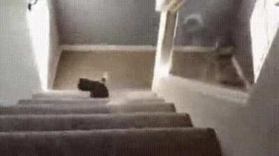 Ru- Oops ow oof bonk donk uovppdks BOOM 