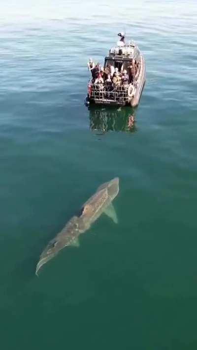 At this point, what are you thinking?