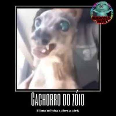 Para de rir Alegui garai