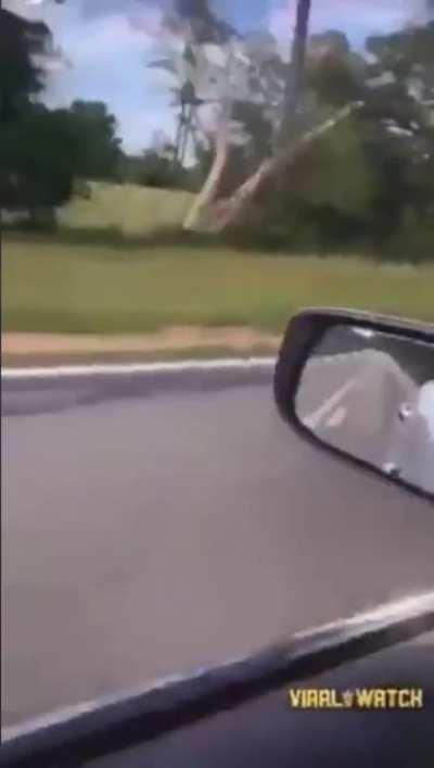 El que avento la serpiente: 😎