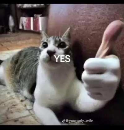 I’m becoming a washed up celebrity 💪😤💯