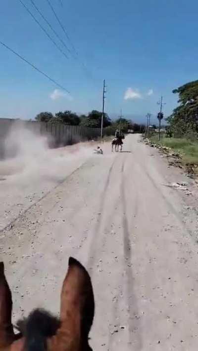 Thief is captured via lasso and dragged behind a horse in Costa Rica