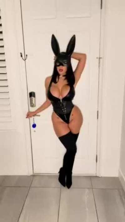 Bimbo bunny